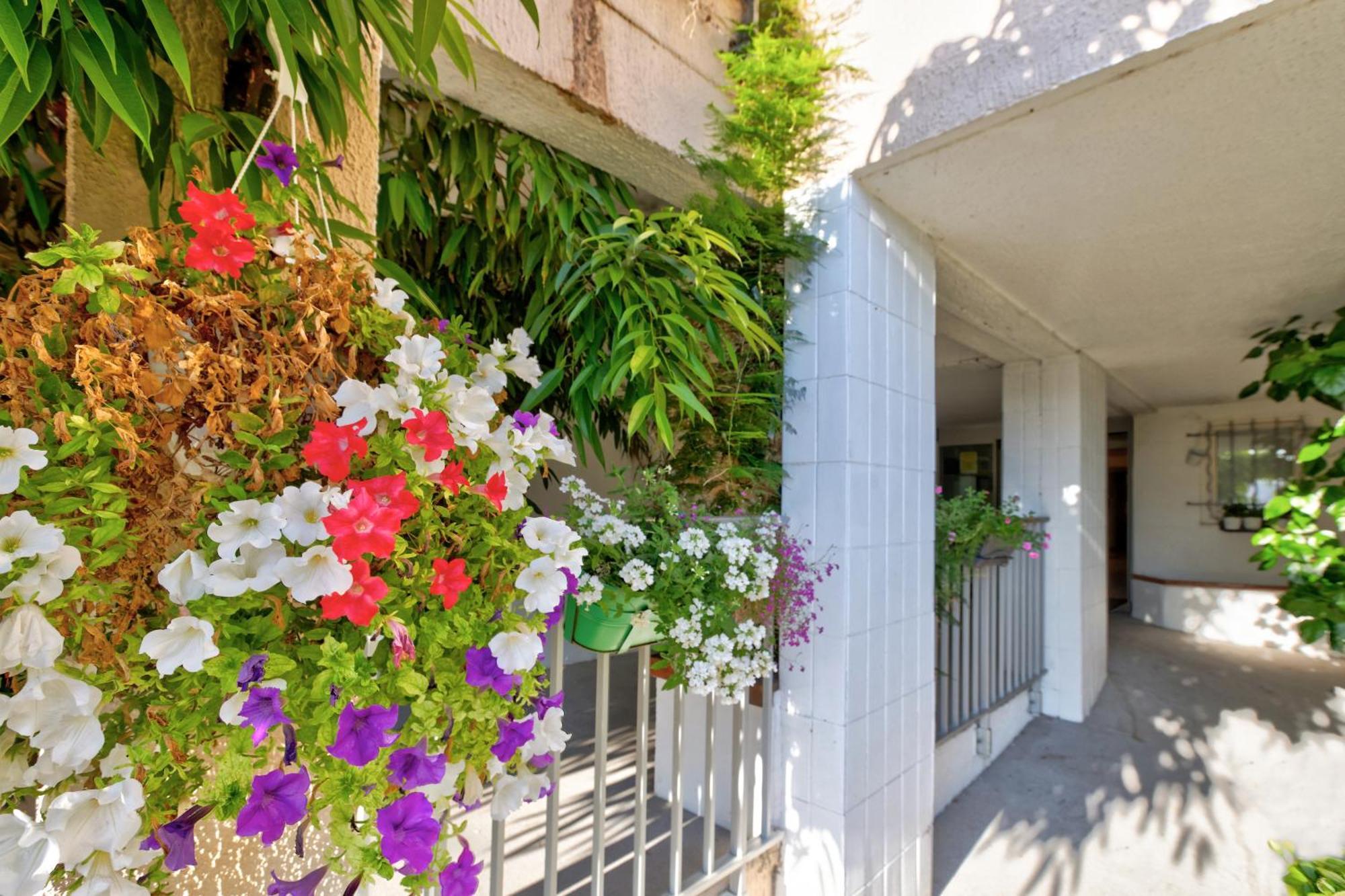 Residence Pierre & Vacances Bandol Port Exterior foto